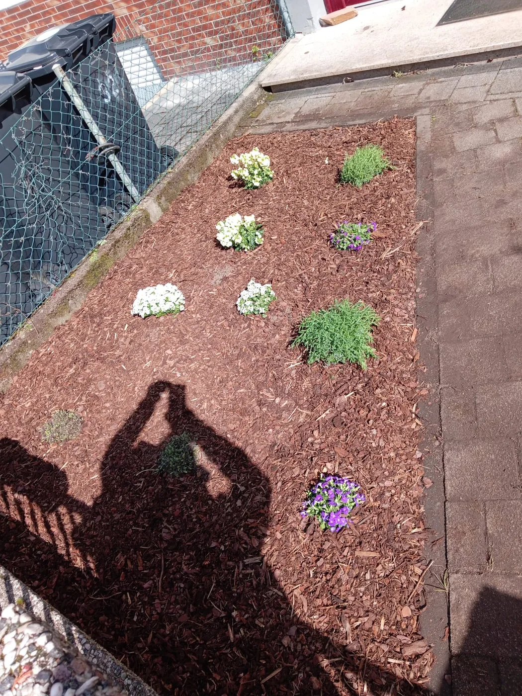 Beetpflege – Gartenpflege Günther