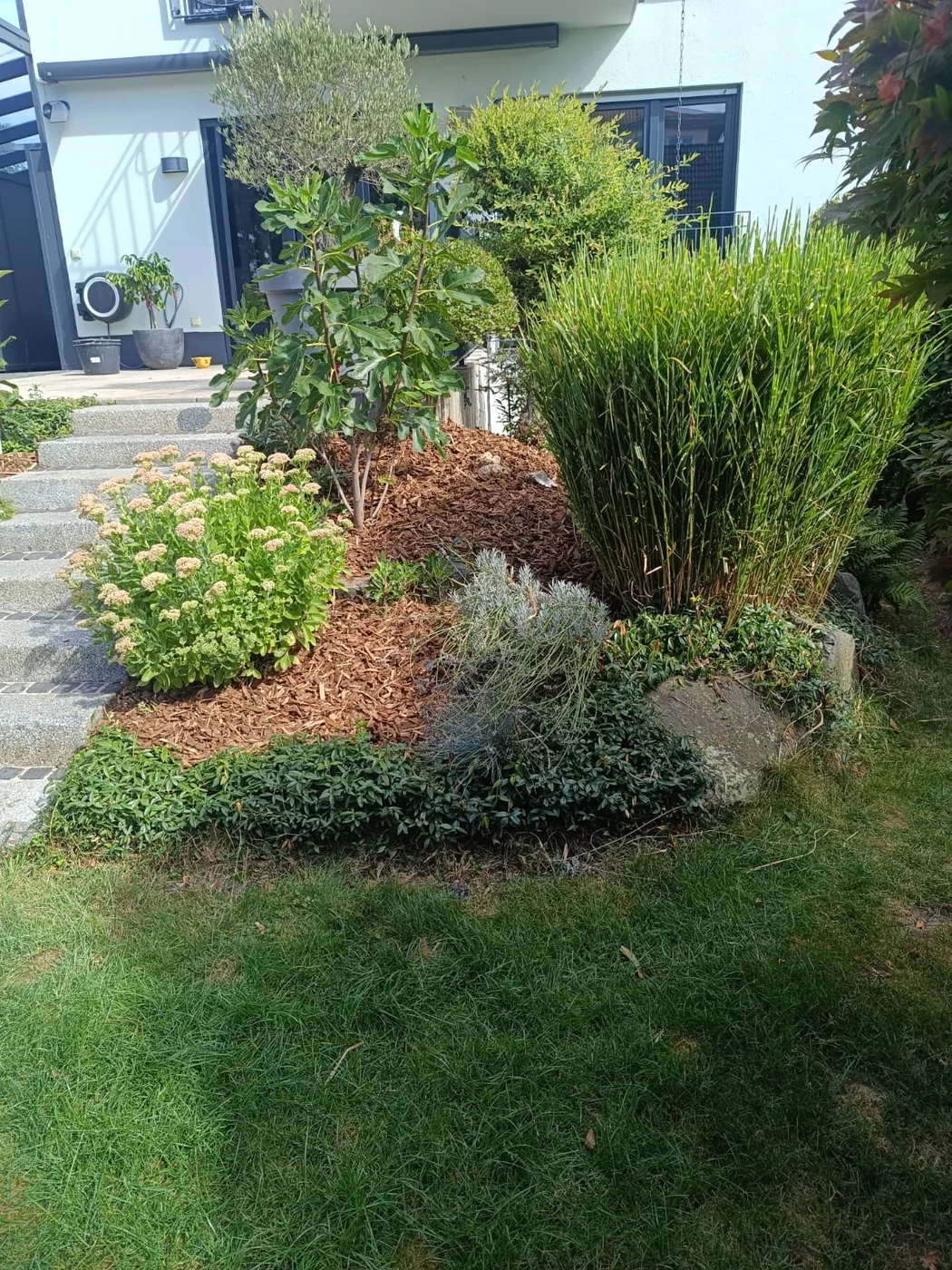 Gartenbepflanzung – Gartenpflege Günther